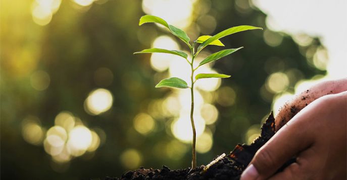 Einlagern: Besonderes Augenmerk bei Feuchtigkeit